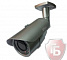 RVI-165 (2,8-12)