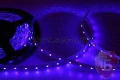 LED лента открытая, IP23, SMD 3528, 60 диодов/метр, 12V, цвет синий