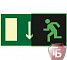 Знаки П/Б  Указатель двери эвакуационного выхода (левосторонний ) (150х300) (фотолюминесцентный)