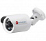 AC-D2121WDIR3 v2 (3,6 мм) IP-Видеокамера