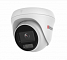 HiWatch DS-I453L (4.0)
