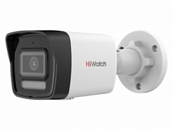 HiWatch DS-I450M(C) (4mm)