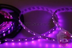 LED лента открытая, IP23, SMD 3528, 60 диодов/метр, 12V, цвет светодиодов розовый