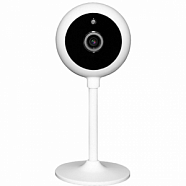 Falcon Eye Wi-Fi видеокамера Spaik 2