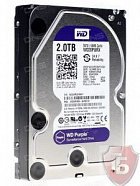Жесткий диск WD 2ТБ Purple WD20PURX