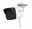 HiWatch DS-I250W(С) (2.8)